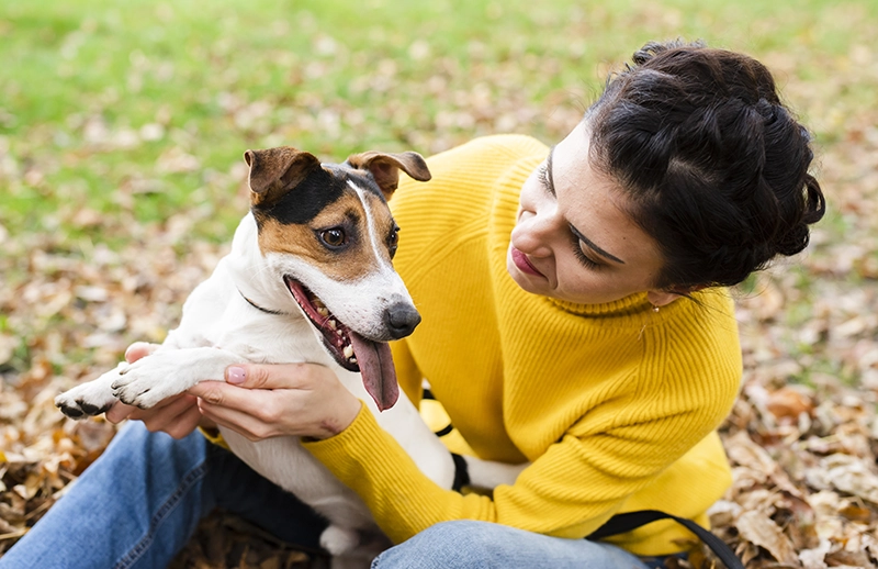 Est il intéressant de souscrire à une assurance pour son animal de compagnie ?