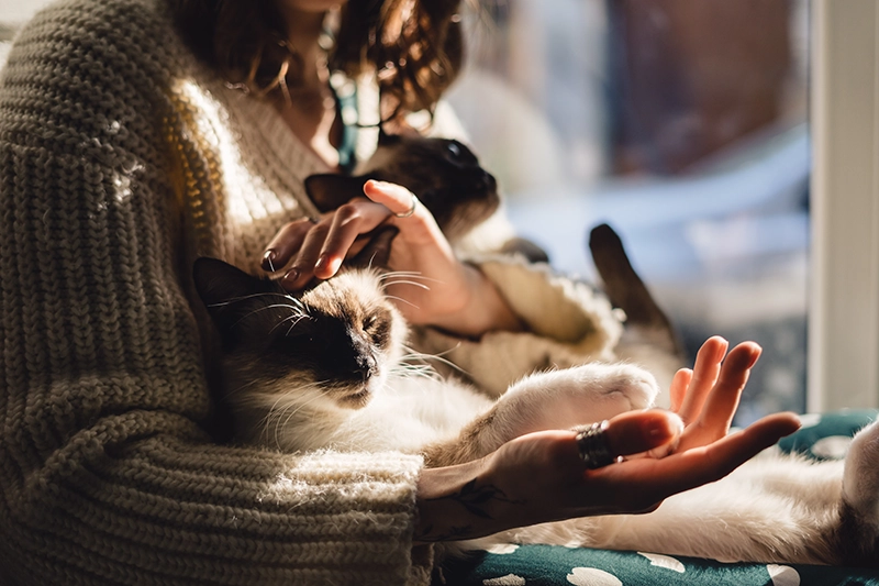 Peut on enterrer son animal de compagnie dans son jardin ?