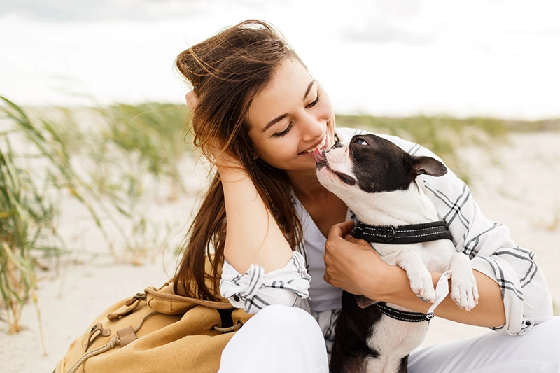 Que faire en cas de décès de mon animal de compagnie