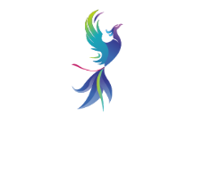 Mon Phoenix Crématorium d'animaux